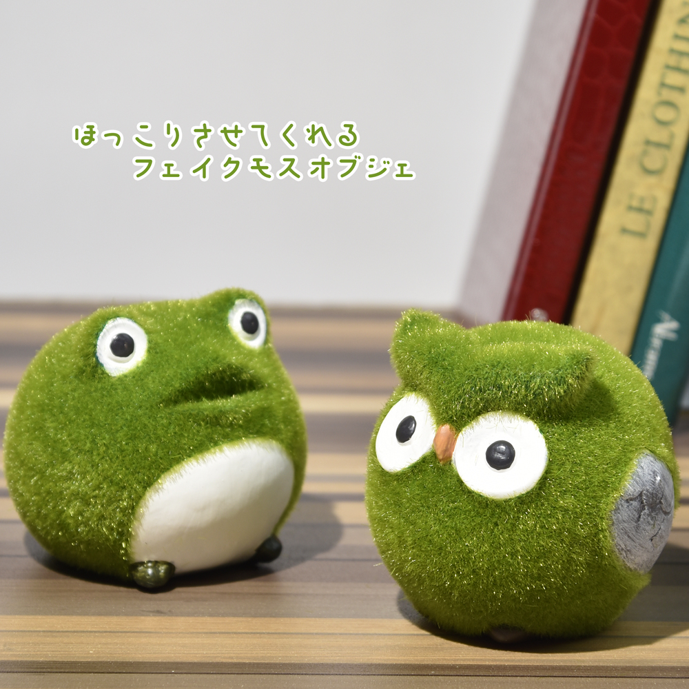 SNS投稿された画像